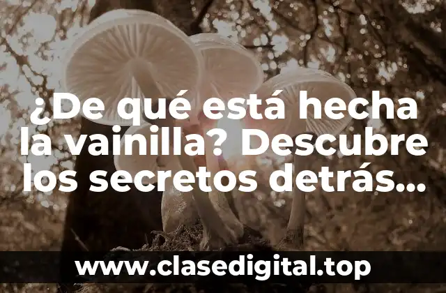 ¿De qué está hecha la vainilla? Descubre los secretos detrás de este ingrediente popular