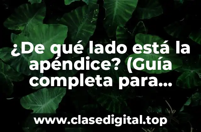 ¿De qué lado está la apéndice? (Guía completa para ubicar el apéndice)