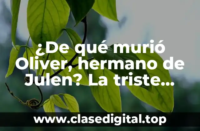 ¿De qué murió Oliver, hermano de Julen? La triste historia detrás de la partida prematura