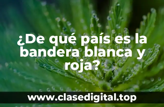 ¿De qué país es la bandera blanca y roja?