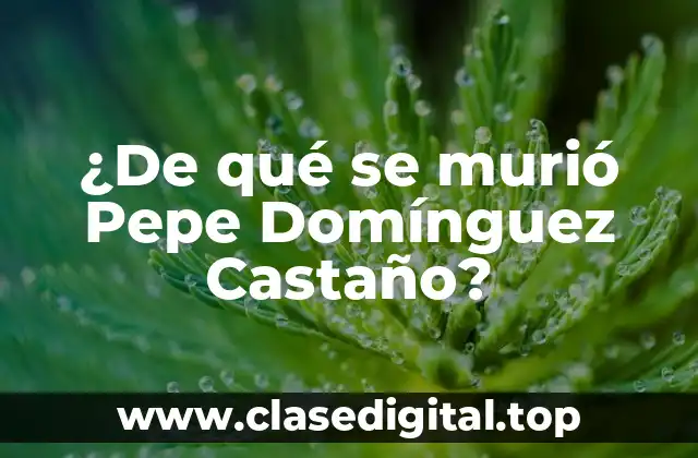 ¿De qué se murió Pepe Domínguez Castaño?