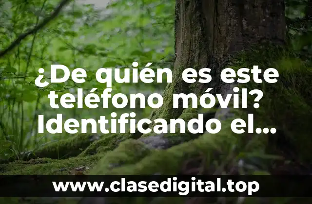 ¿De quién es este teléfono móvil? Identificando el propietario de un número de teléfono