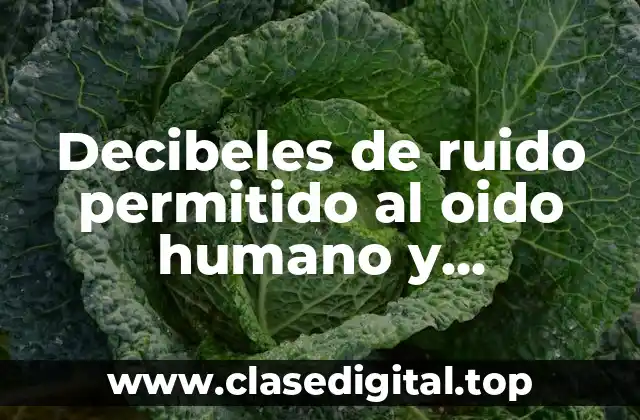 Decibeles de ruido permitido al oido humano y Significado