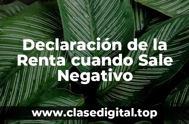 Declaración de la Renta cuando Sale Negativo