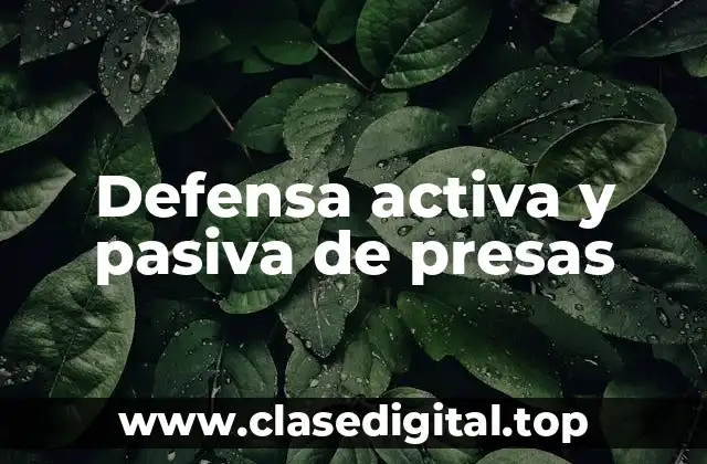 Defensa activa y pasiva de presas