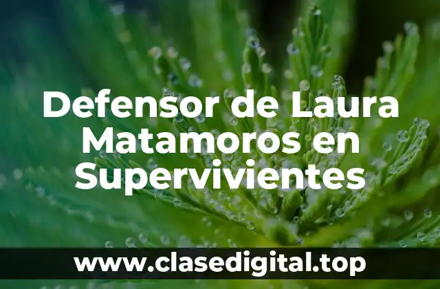 ¿Quién es el Defensor de Laura Matamoros en Supervivientes?