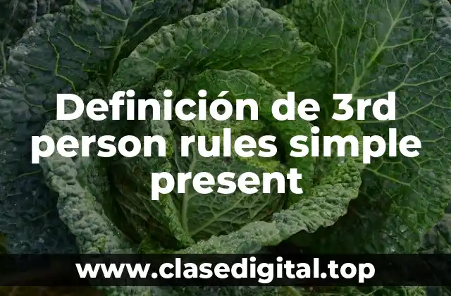 Definición de 3rd person rules simple present