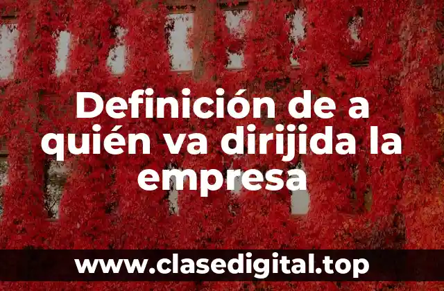 Definición de a quién va dirijida la empresa