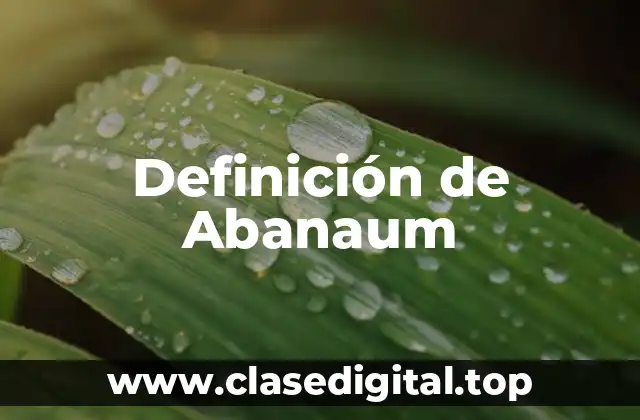 Definición de Abanaum