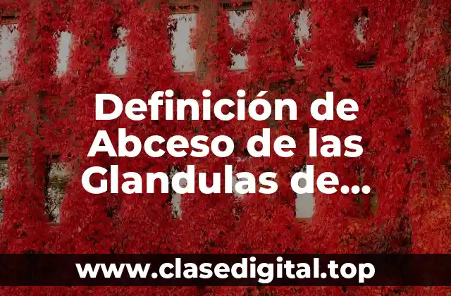 ❇️ Definición técnica del Abceso de las Glandulas de Bartolino