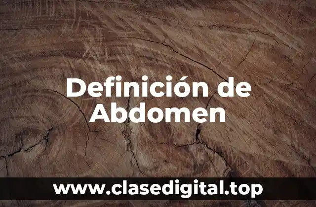 Definición de Abdomen