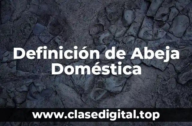 Definición de Abeja Doméstica