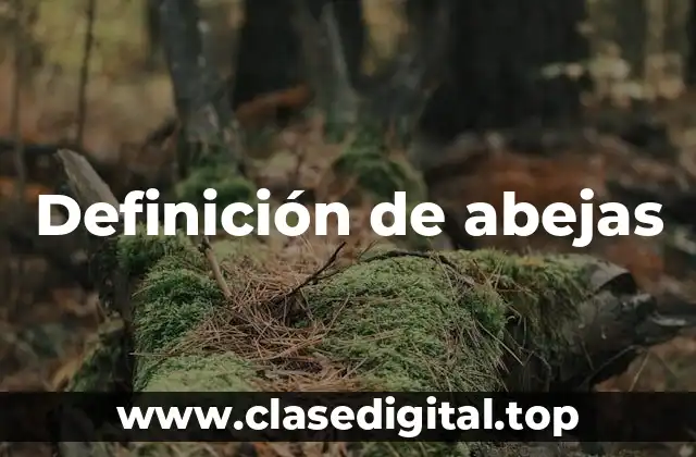 Definición de abejas