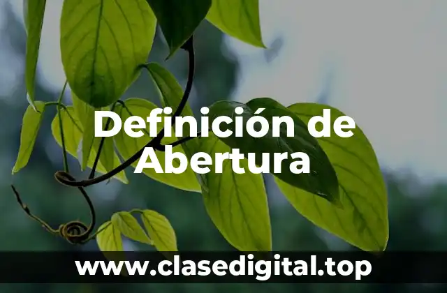 📗 Definición técnica de Abertura