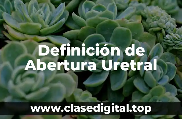 Definición de Abertura Uretral