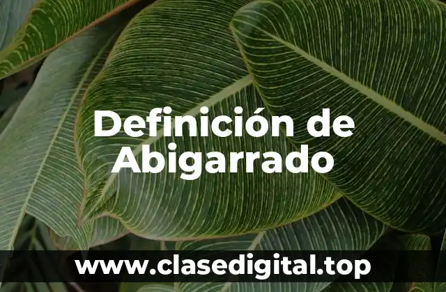 📗 Definición técnica de Abigarrado