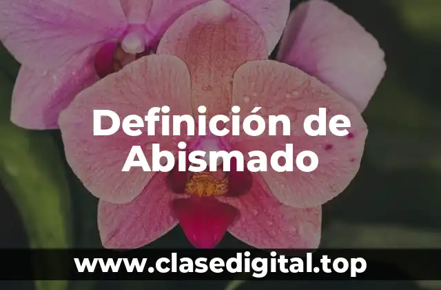 Definición de Abismado