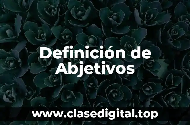 ✳️ Definición técnica de Abjetivos