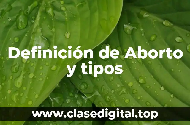 Definición de Aborto y tipos