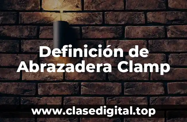 Definición de Abrazadera Clamp