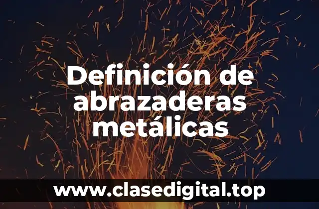 Definición de abrazaderas metálicas