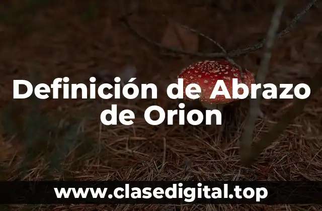 Definición de Abrazo de Orion