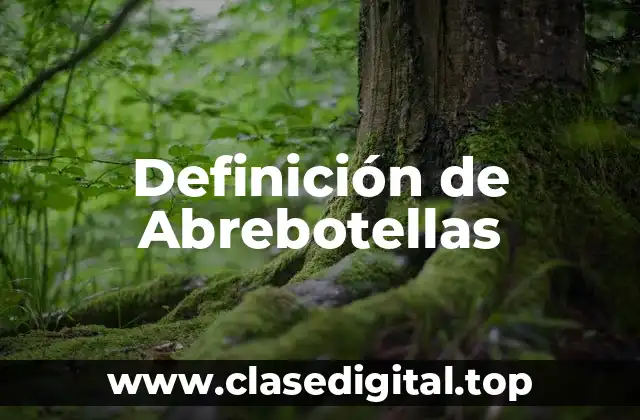 Definición de Abrebotellas