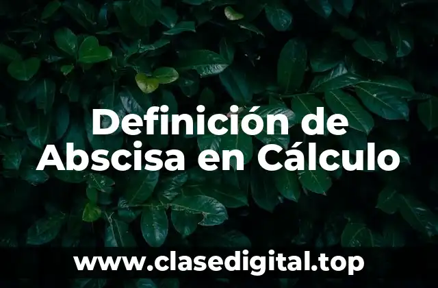 Definición de Abscisa en Cálculo