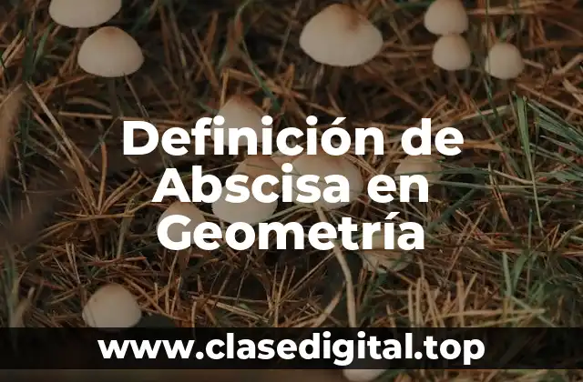 Definición de Abscisa en Geometría