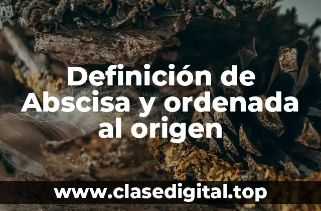 Definición de Abscisa y ordenada al origen