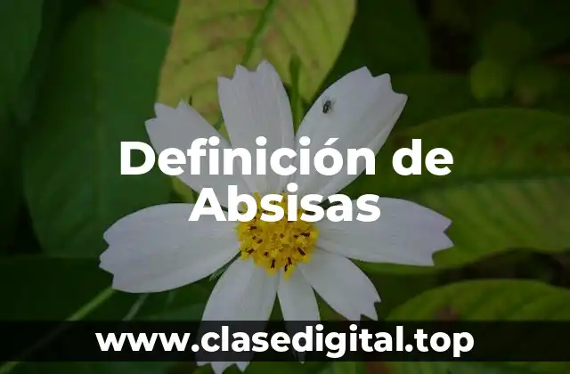 Definición de Absisas