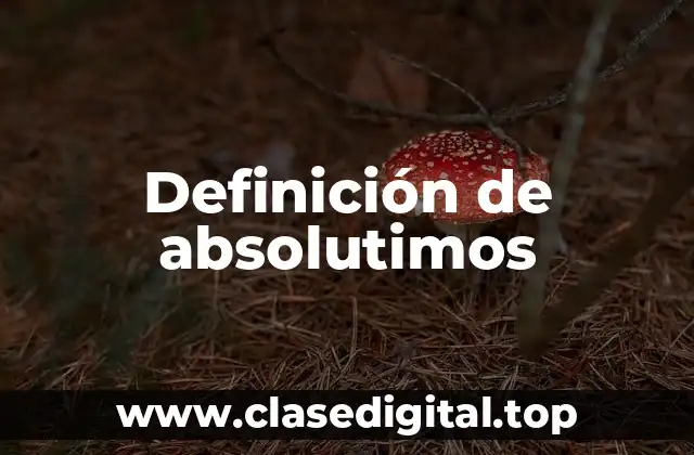 📗 Definición técnica de absolutimo