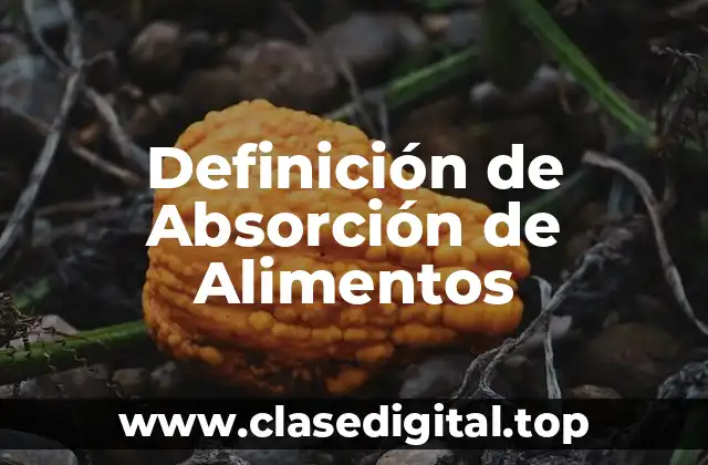 Definición de Absorción de Alimentos