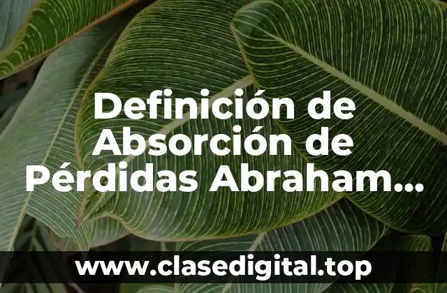 Definición de Absorción de Pérdidas Abraham Perdomo