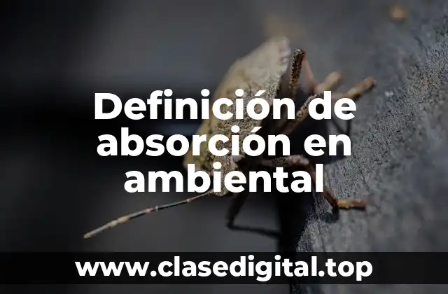 Ejemplos de absorción en ambiental