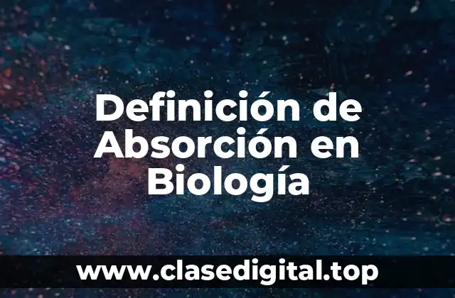 Definición de Absorción en Biología