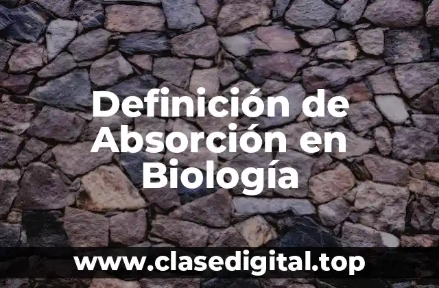 ✴️ Definición Técnica de Absorción en Biología