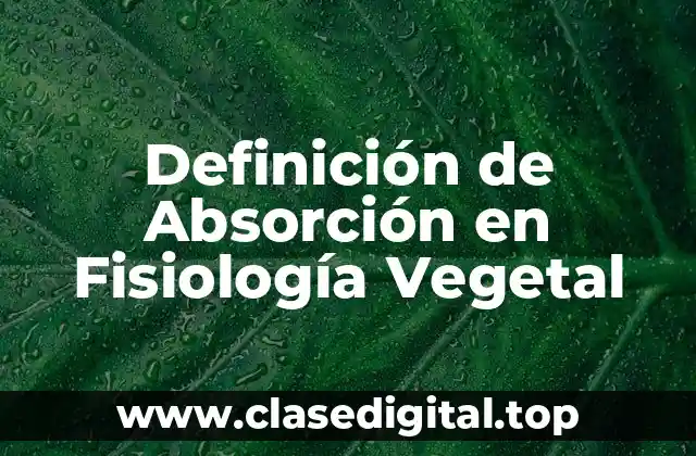 Definición de Absorción en Fisiología Vegetal