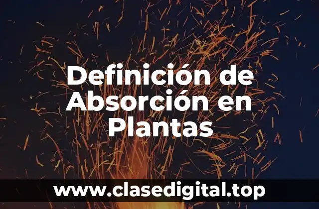 ➡️ Definición técnica de Absorción en Plantas