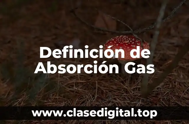Definición de Absorción Gas