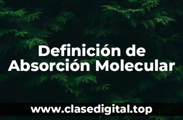 📗 Definición Técnica de Absorción Molecular