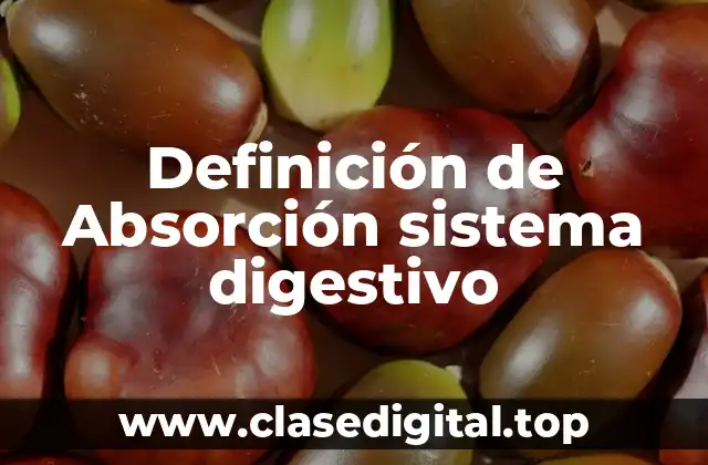 Definición de Absorción sistema digestivo