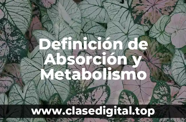 Definición de Absorción y Metabolismo