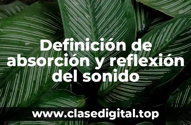 Definición de absorción y reflexión del sonido