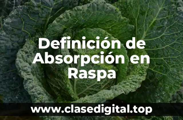 Definición de Absorpción en Raspa
