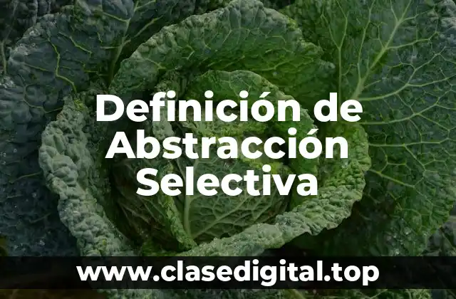 Definición de Abstracción Selectiva