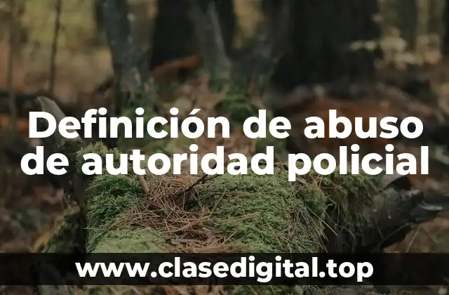 Definición de abuso de autoridad policial
