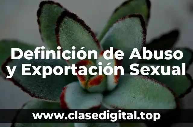 Definición de Abuso y Exportación Sexual