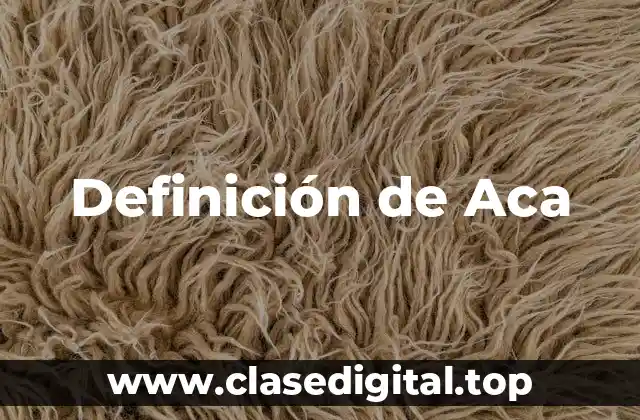 Definición de Aca