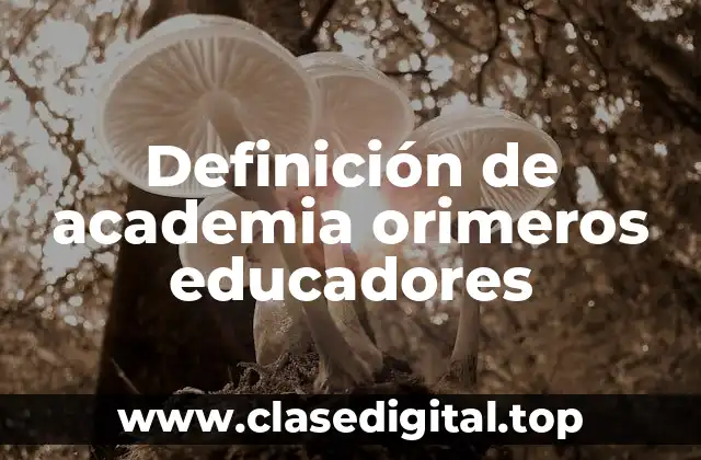 Definición de academia orimeros educadores